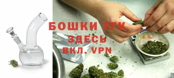СК Алексин