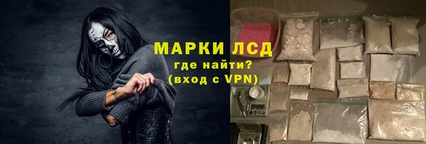 СК Алексин