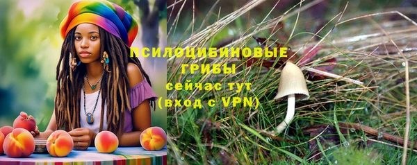 СК Алексин