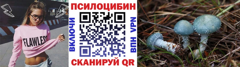 mega зеркало  Снежногорск  Псилоцибиновые грибы мицелий 